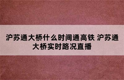 沪苏通大桥什么时间通高铁 沪苏通大桥实时路况直播